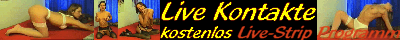 lustbanner.gif (12469 Byte)